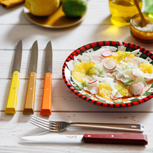 Load image into Gallery viewer, Bon Appétit - Set of 4 Steak Knives