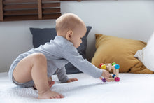 Load image into Gallery viewer, Square Clutching Toy